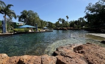 Experiencia con Cuidadores de Mamíferos Marinos