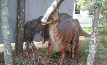 East pond lookout at Pine Knoll Shores Aquarium