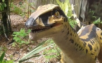 East pond lookout at Pine Knoll Shores Aquarium