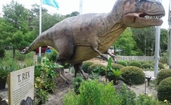 East pond lookout at Pine Knoll Shores Aquarium
