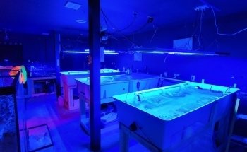 Acuicultura del Medio Oeste