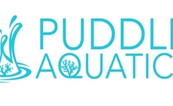 Puddle Aquatics