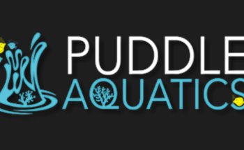 Puddle Aquatics