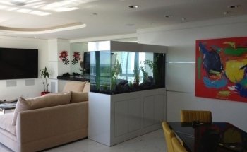 California Custom Aquariums