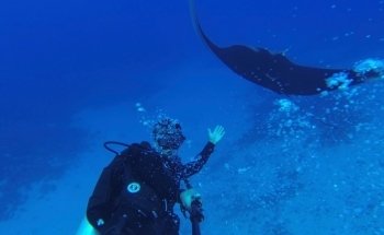 California Custom Aquariums