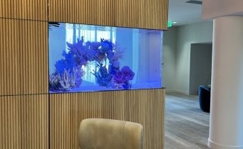 Acuarios Personalizados de California