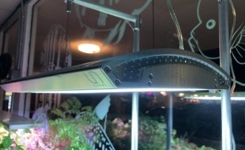 Aquascape Supply Co.