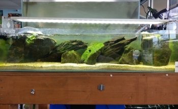 Aquascape Supply Co.
