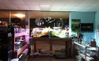 Aquascape Supply Co.