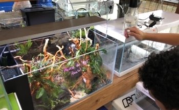 Aquascape Supply Co.
