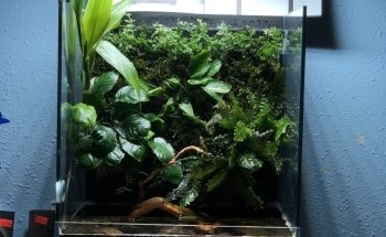 Aquascape Supply Co.