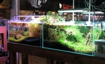 Aquascape Supply Co.