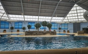 Espectáculos de Delfines