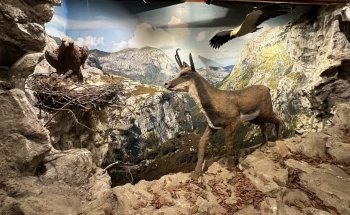 Ecomuseum Fluviarium of Liérganes