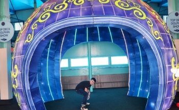 Top Deck Dolphin Show