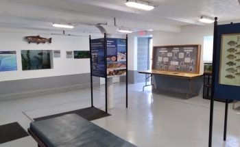 Cape Vincent Fisheries Station