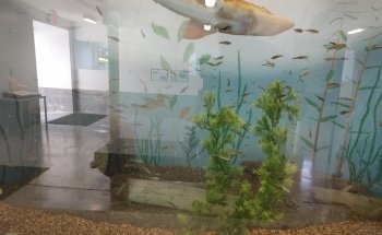 Cape Vincent Fisheries Station