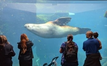 Alaska SeaLife Center