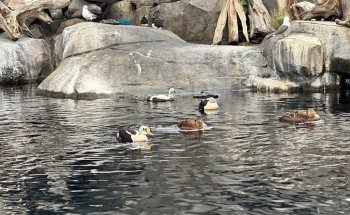 Alaska SeaLife Center