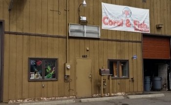 Alaska Coral & Fish