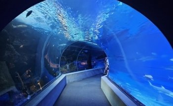 Maui Ocean Center, The Aquarium of Hawaii