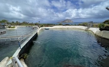Sea Life Park Hawaii