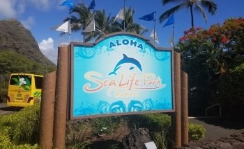 Sea Life Park Hawaii