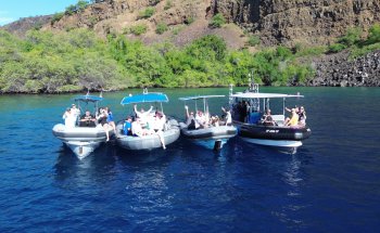 Dolphin Discoveries- Snorkel Tour Check-in and Boutique