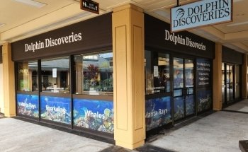 Dolphin Discoveries- Snorkel Tour Check-in and Boutique