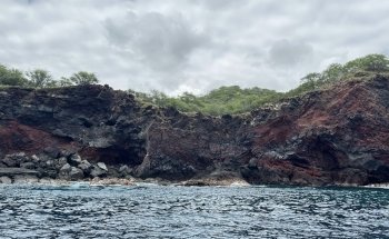 Dolphin Discoveries- Snorkel Tour Check-in and Boutique