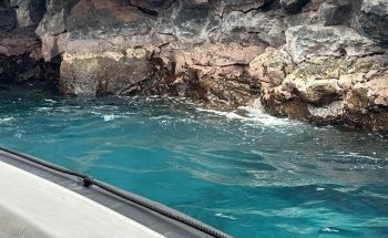 Dolphin Discoveries- Snorkel Tour Check-in and Boutique