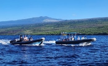 Dolphin Discoveries- Snorkel Tour Check-in and Boutique