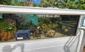 Waikiki Aquarium