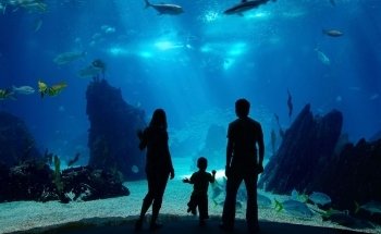 Waikiki Aquarium