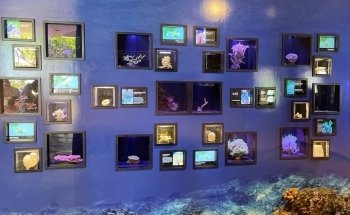 Waikiki Aquarium