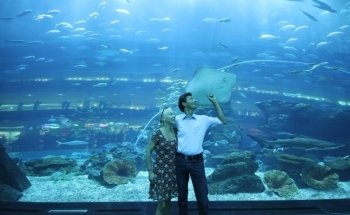 Dubai Aquarium & Underwater Zoo