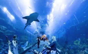 Dubai Aquarium & Underwater Zoo