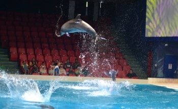 Dubai Dolphinarium