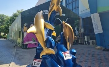 Dubai Dolphinarium