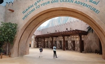 SeaWorld Abu Dhabi | سي وورلد جزيرة ياس، أبوظ