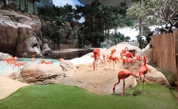 SeaWorld Abu Dhabi | سي وورلد جزيرة ياس، أبوظ