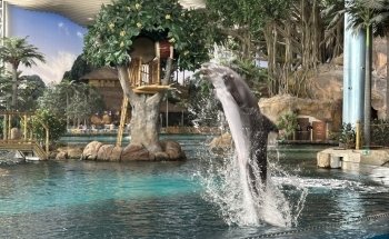 SeaWorld Abu Dhabi | سي وورلد جزيرة ياس، أبوظ