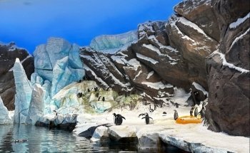 SeaWorld Abu Dhabi | سي وورلد جزيرة ياس، أبوظ