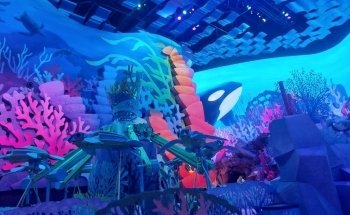 SeaWorld Abu Dhabi | سي وورلد جزيرة ياس، أبوظ