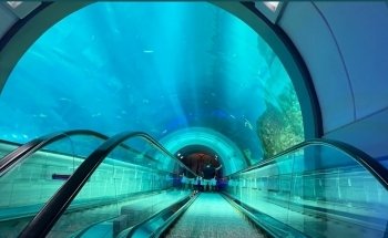 SeaWorld Abu Dhabi | سي وورلد جزيرة ياس، أبوظ
