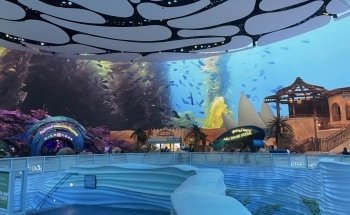 SeaWorld Abu Dhabi | سي وورلد جزيرة ياس، أبوظ