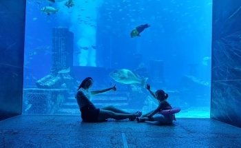 The Lost Chambers Aquarium at Aquaventure World