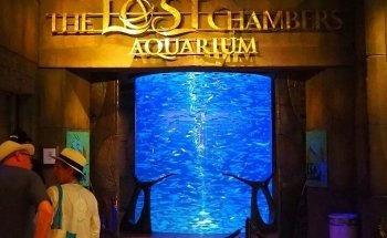 The Lost Chambers Aquarium at Aquaventure World
