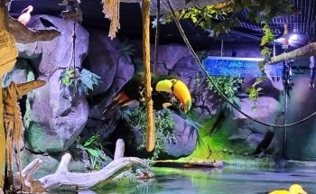 The National Aquarium Abu Dhabi
