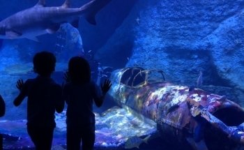 The National Aquarium Abu Dhabi